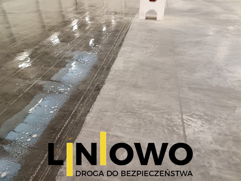 IMG_20241118_135628_822